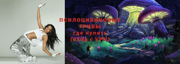 СК Михайловск