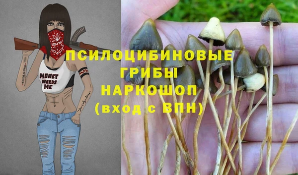 альфа пвп Михайловка