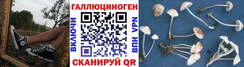 мега ONION  Иноземцево  площадка состав  купить наркотик  Галлюциногенные грибы Psilocybine cubensis 